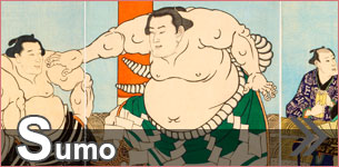 Sumo