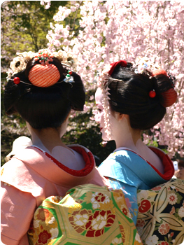 kyoto maiko sister