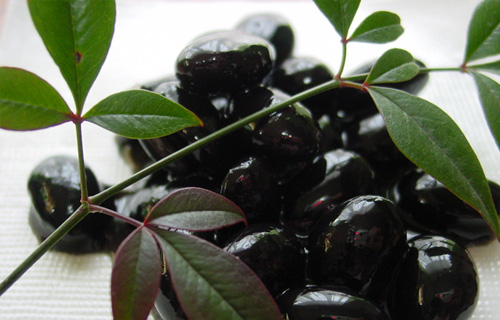 Tamba black beans in KyotoJapan