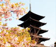 To temple in kyoto japan