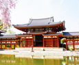 Byodo-in in kyoto