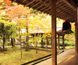 Ryoan temple in kyoto