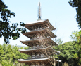 Daigo temple in kyoto