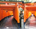 fushimiinari shrine sightseeing kyoto