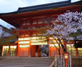 Yasaka shrin kyoto