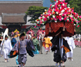 Aoi Festival