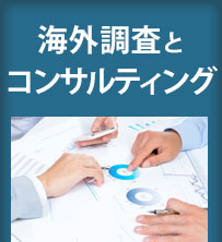 海外調査とコンサルティング