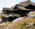 Kiyomizu temple in kyoto sightseeing