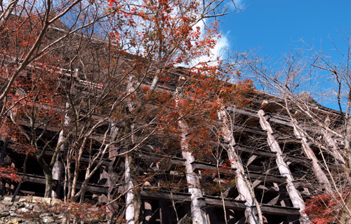 Kiyomizu temple Structure in kyoto japan sightseeing