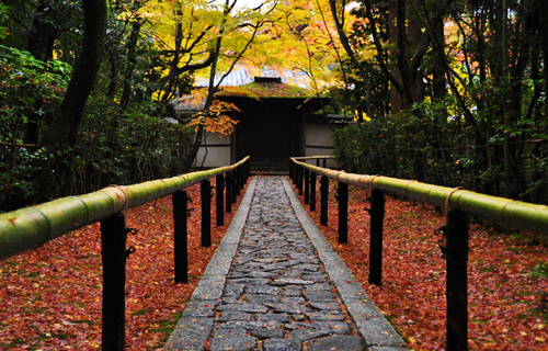 kyoto Daitoku temple Ryosen-an