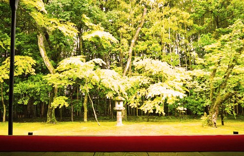 Daitoku temple history in kyoto japan