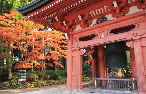 Enryaku temple history in kyoto sightseeing