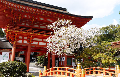 Kamigamo shrine in kyoto japan