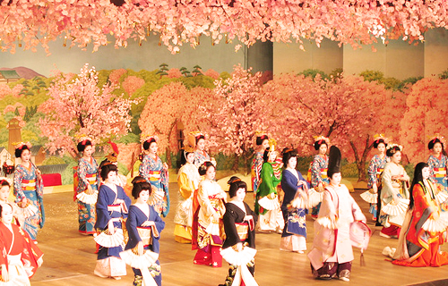 kyoto maiko geisya Japanese dance sightseeing