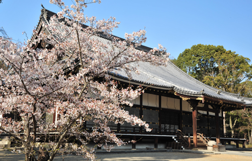 Ninna temple in kyoto