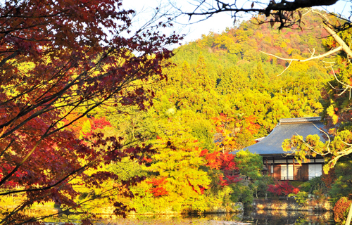 kyoto Ryoan temple highlight sightseeing