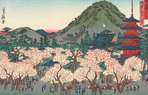 Sakura Festival