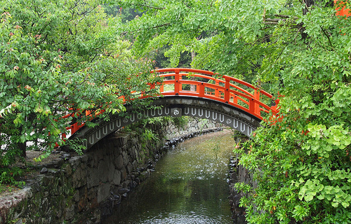 kyoto Shimogamo shrine two trees