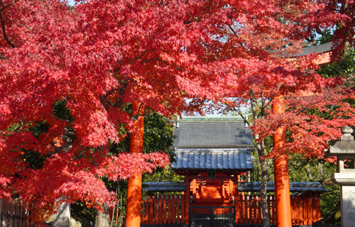 Tenryu temple history in kyoto japan
