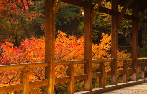 Tofuku temple history in kyoto japan